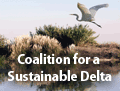 Sustainable Delta